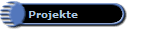 Projekte